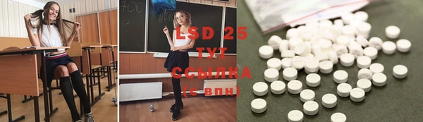гидропоника Бородино