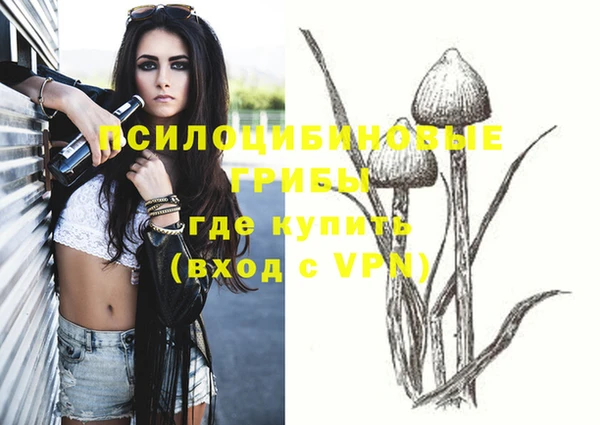 гидропоника Бородино